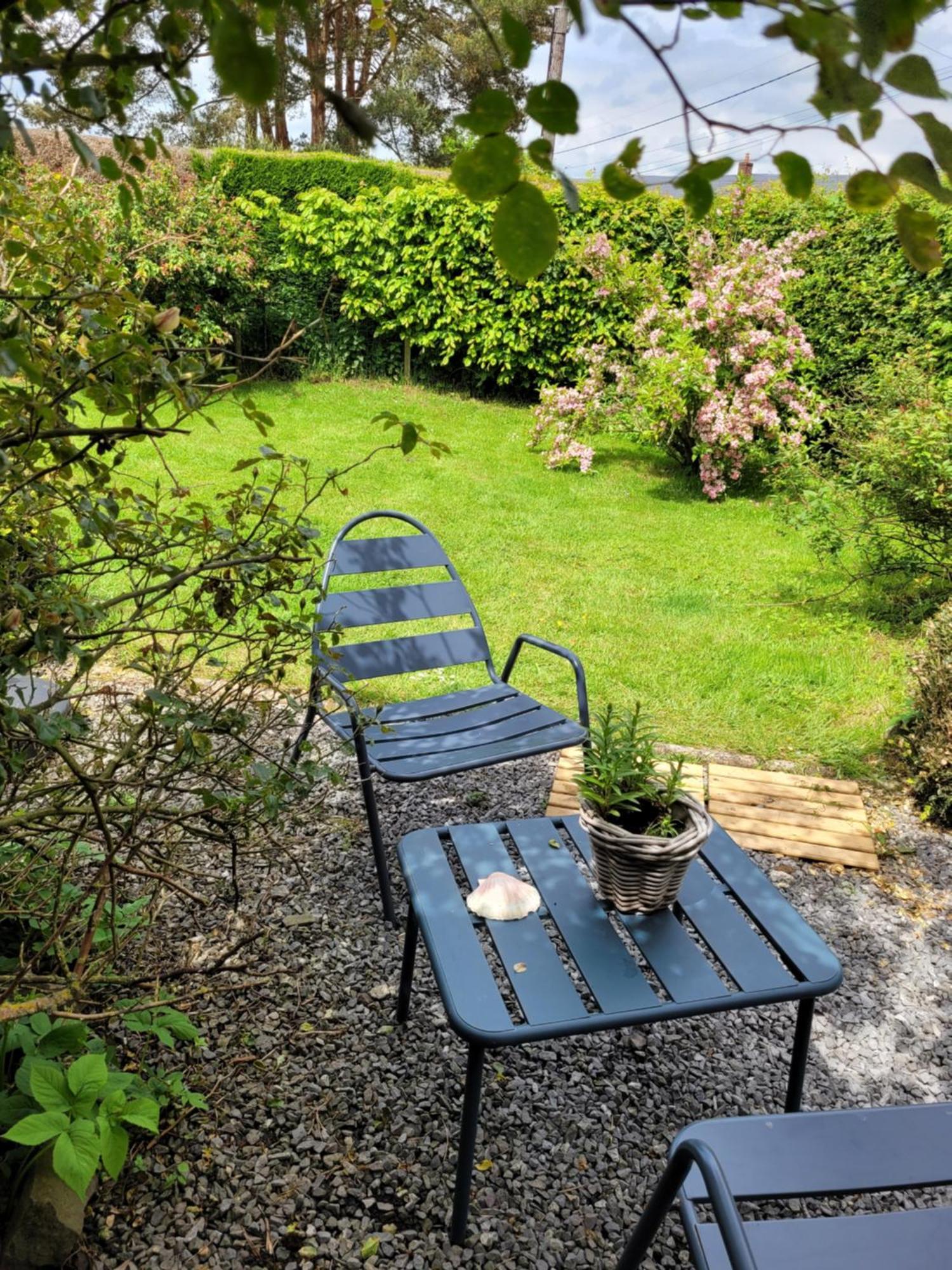 Studio Bienvenue Du Cote De Chez Nous Avec Jardin Privatif Wignehies Екстериор снимка
